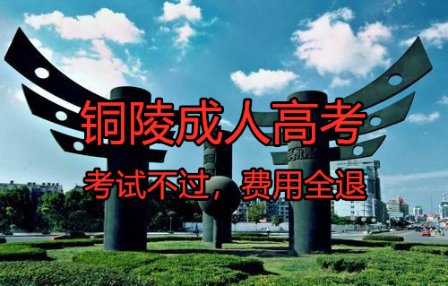 安徽铜陵成人高考