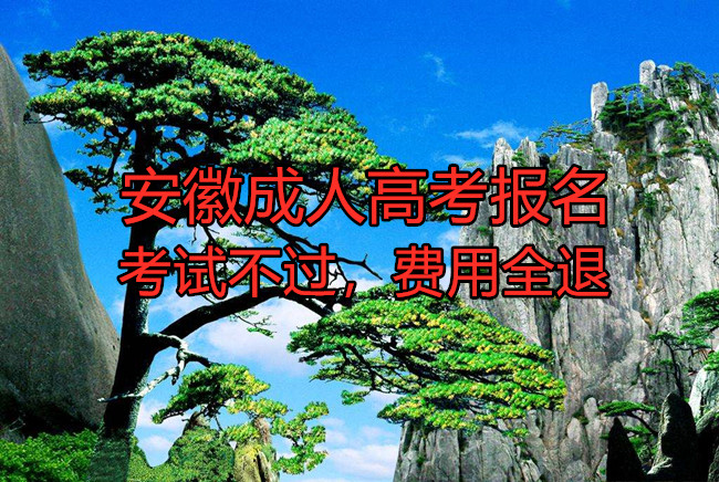 安徽成人高考报名