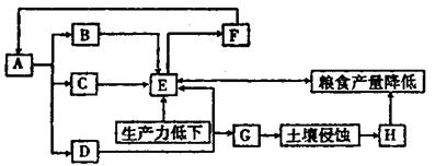 成人高考高起点历史地理综合真题 成人高考高起点历史地理综合真题