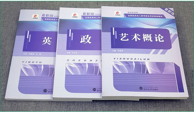 成人高考专升本艺术概论考试教材_10