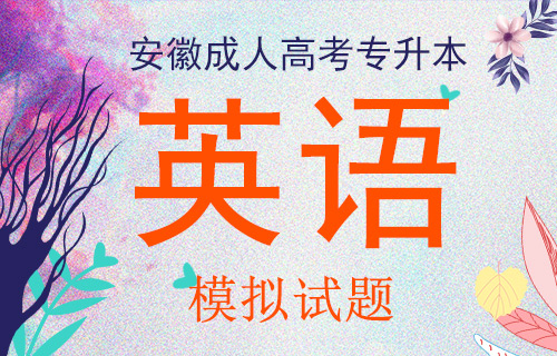 安徽成人高考专升本英语考试