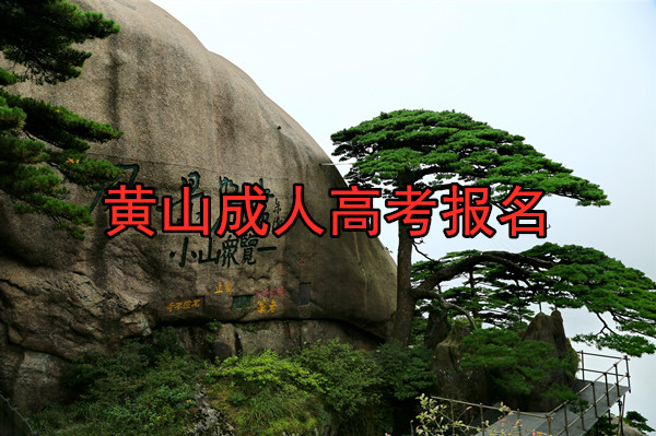 安徽黄山成人高考报名 安徽黄山成人高考报名