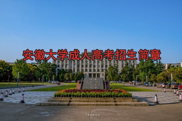 安徽大学成人高考报名