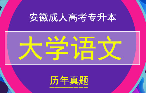 2005年安徽成人高考专升本大学语文真题