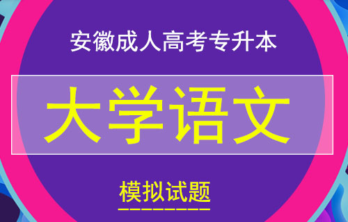 安徽成人高考专升本大学语文考试模拟试题