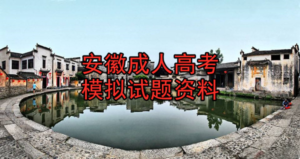 安徽成人高考模拟试题