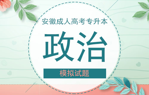 2003年安徽成人高考专升本政治真题