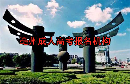 亳州成人高考报名机构