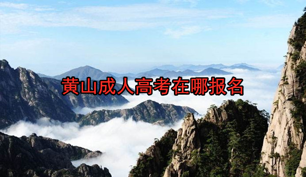 黄山成人高考在哪报名 黄山成人高考在哪报名