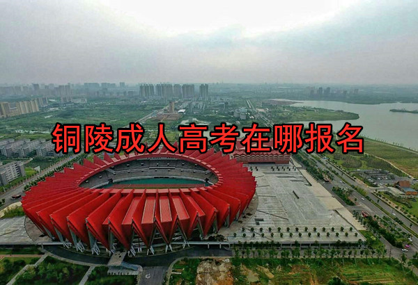 铜陵成人高考在哪报名