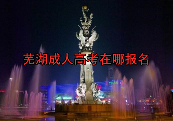 芜湖成人高考在哪报名 芜湖成人高考在哪报名