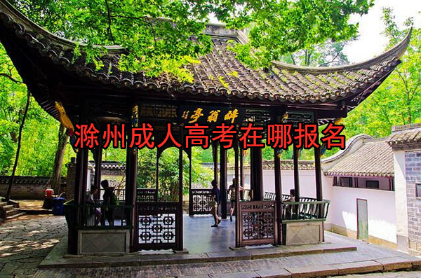滁州成人高考在哪报名