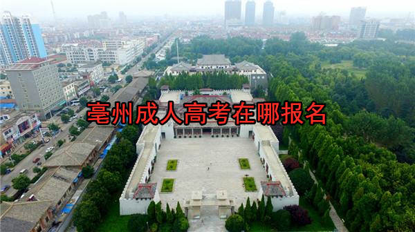 亳州成人高考在哪报名