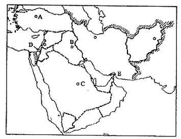 2004年成人高考高起点历史地理综合考试真题 2004年成人高考高起点历史地理综合考试真题