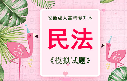 2019年成人高考专升本民法预测题