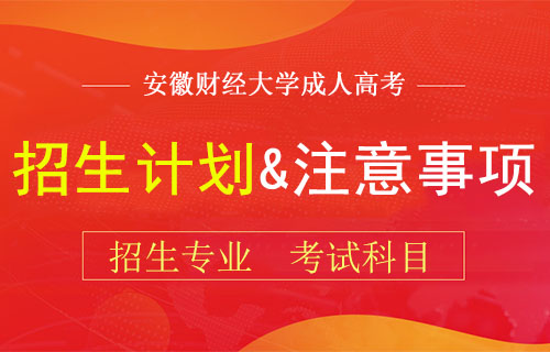 安徽财经大学2019成人高考招生计划