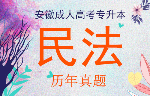 安徽成人高考专升本民法考试真题