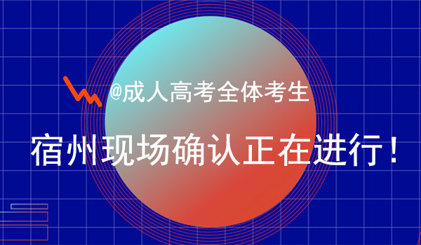 宿州成人高考现场确认地点