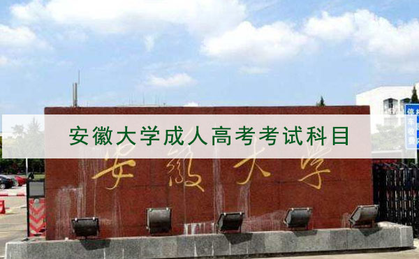 安徽大学成人高考招生专业考试科目