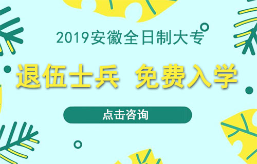 2019年安徽全日制大专报名