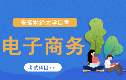 安徽财经大学电子商务自考