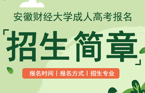安徽财经大学2020年成人高考