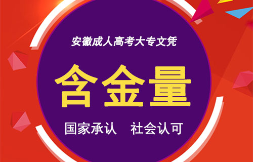 安徽成人高考大专文凭