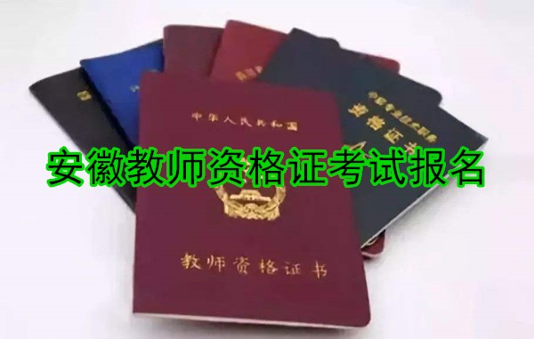 2020年安徽上半年中小学教师资格考试