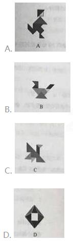 2018下半年安徽小学教师资格考试综合素质真题19