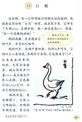 2017上半年小学教师资格证教育教学知识与能力考试真题26