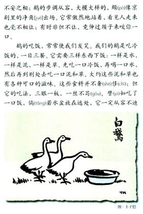 2017上半年小学教师资格证教育教学知识与能力考试真题26.1