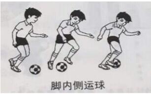 2017上半年小学教师资格证教育教学知识与能力考试真题30