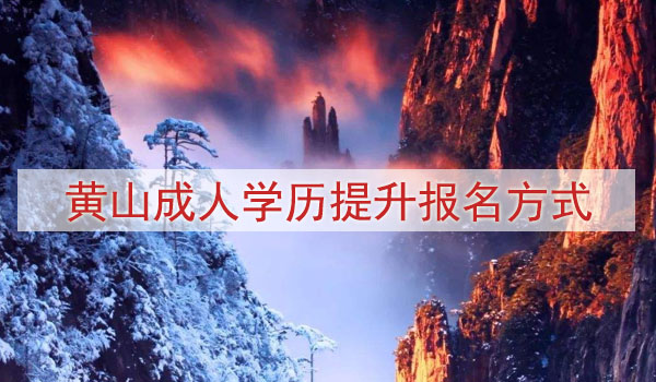 黄山成人学历提升报名方式