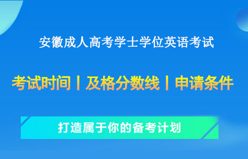 安徽成人高考学士学位英语考试