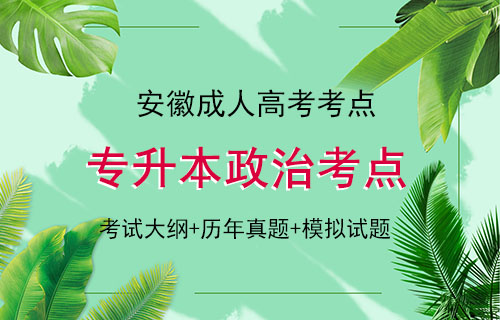 安徽成人高考考试考点