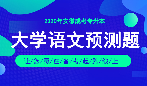 2020年安徽成人高考专升本大学语文押题卷