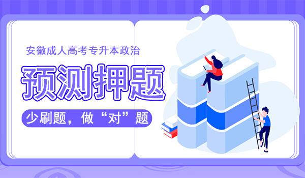 2020年安徽成人高考专升本政治押题卷