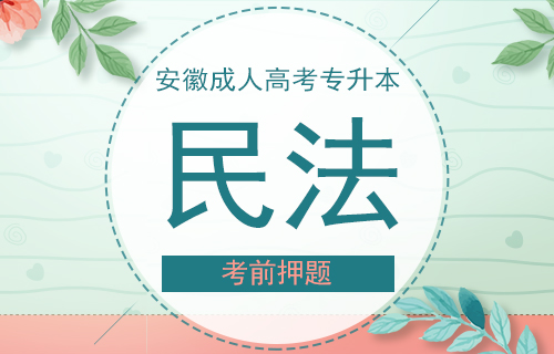 2020年安徽成人高考专升本民法押题卷