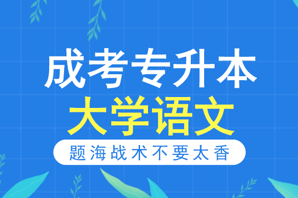 2020年安徽成人高考专升本《大学语文》模拟卷