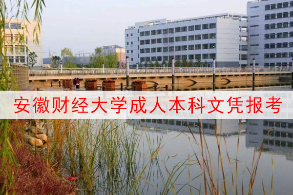 安徽财经大学成人本科报考