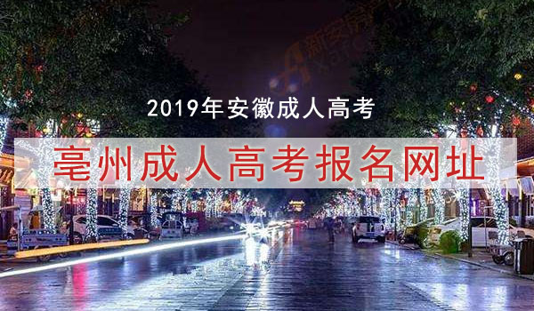 亳州成人高考网上报名流程