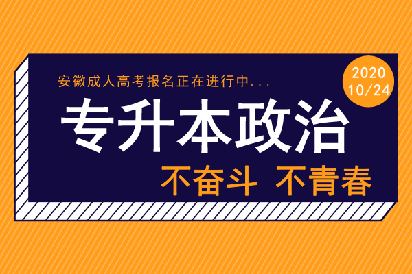 2020年安徽成人高考专升本《政治》模拟卷
