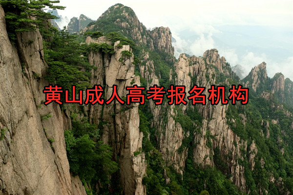 黄山成人高考函授报名机构