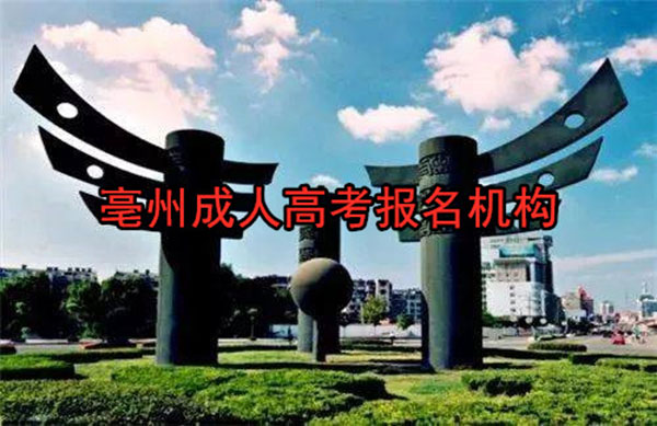 亳州成人高考函授报名机构