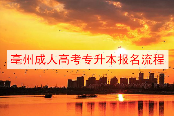 亳州成人高考专升本报名流程