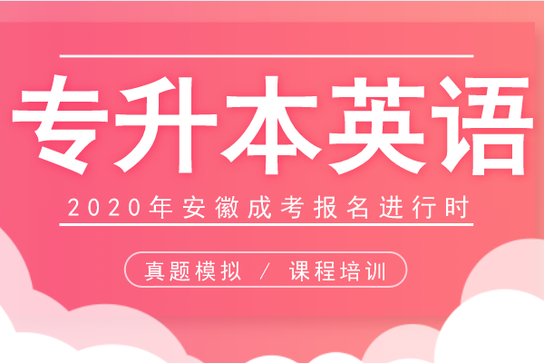 2022年安徽成人高考专升本《英语》模拟卷