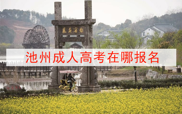 池州成人高考在哪报名