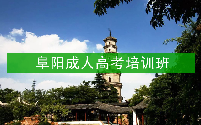 阜阳成人高考培训班