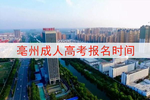 亳州成人高考报名时间