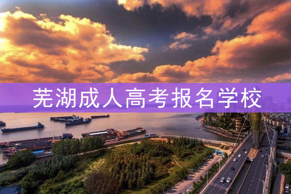 芜湖成人高考报名学校